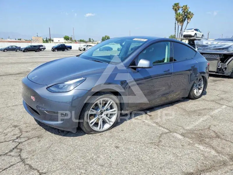 2023 Tesla Model Y photo