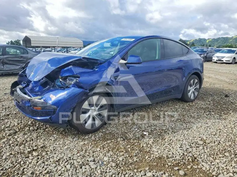 2023 Tesla Model Y фото