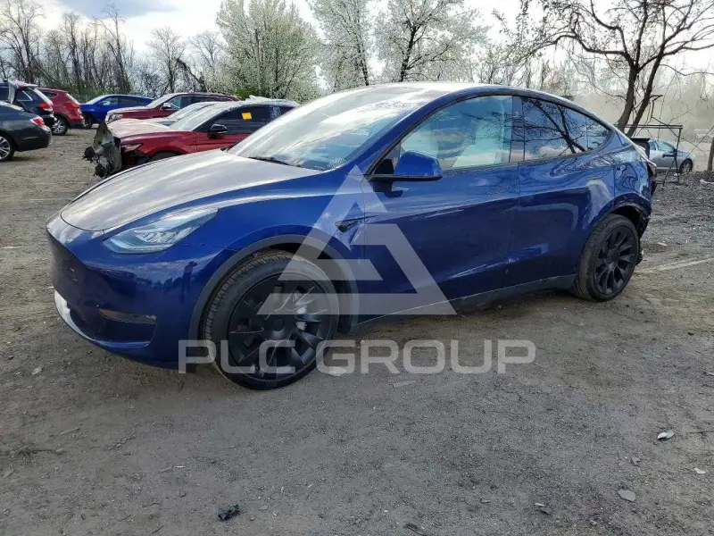 2023 Tesla Model Y фото