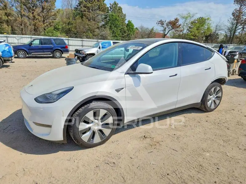 2023 Tesla Model Y фото