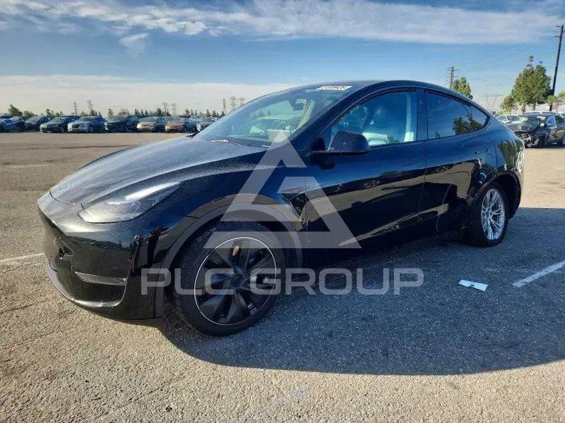 2023 Tesla Model Y photo