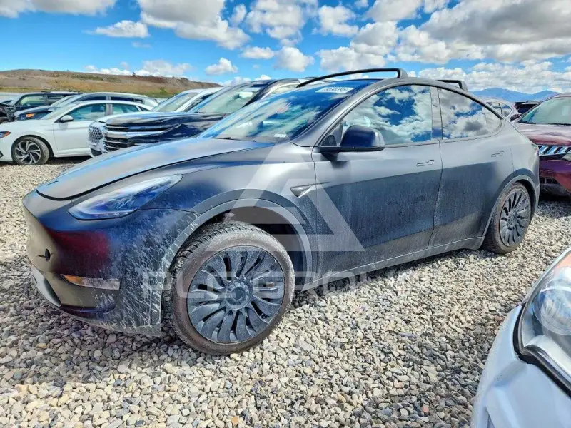 2023 Tesla Model Y фото