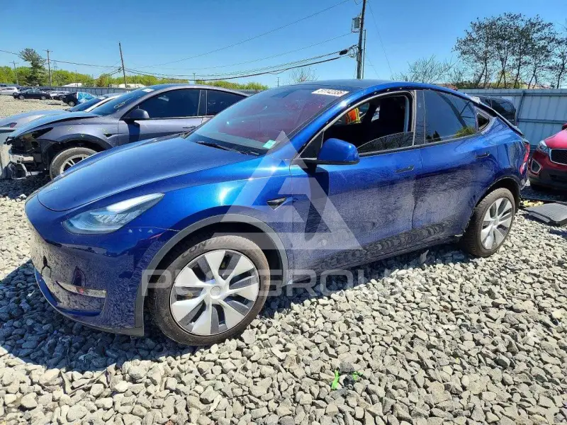 2023 Tesla Model Y фото