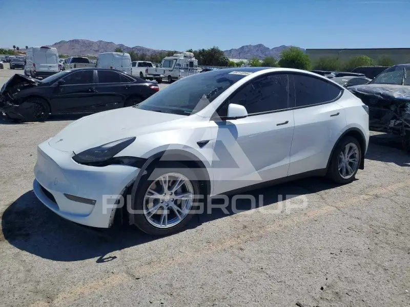 2023 Tesla Model Y photo