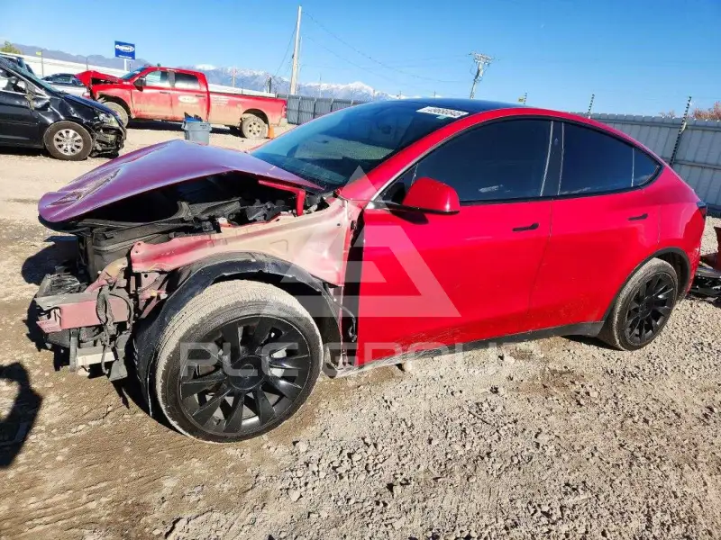 2023 Tesla Model Y фото