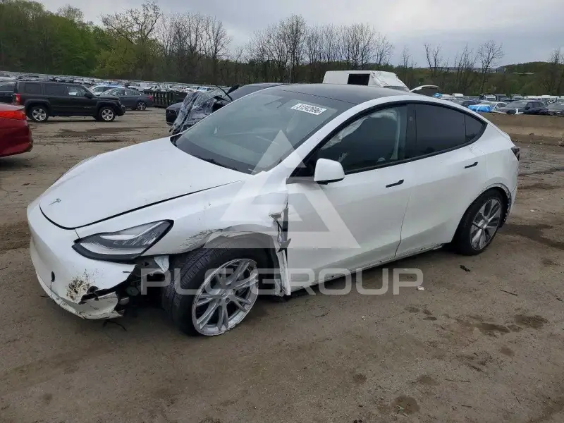 2023 Tesla Model Y фото