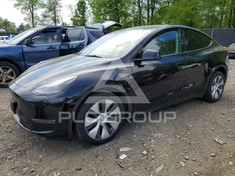 2023 Tesla Model Y фото