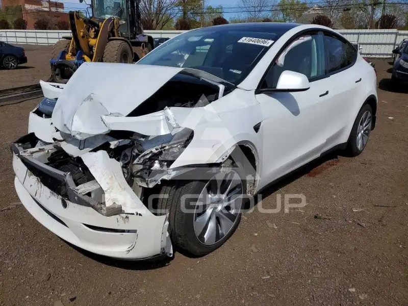 2023 Tesla Model Y photo