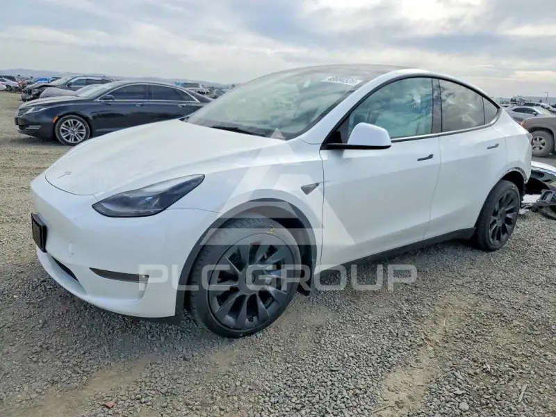 2023 Tesla Model Y photo
