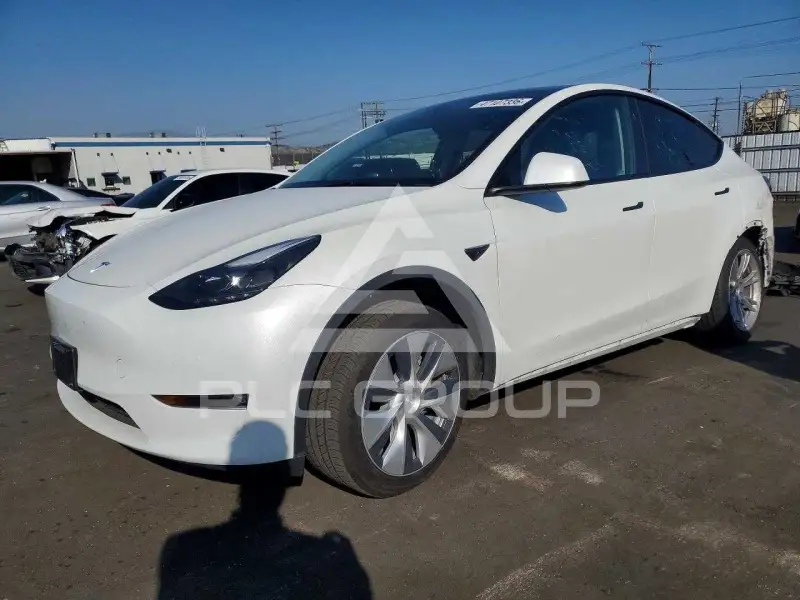 2023 Tesla Model Y фото