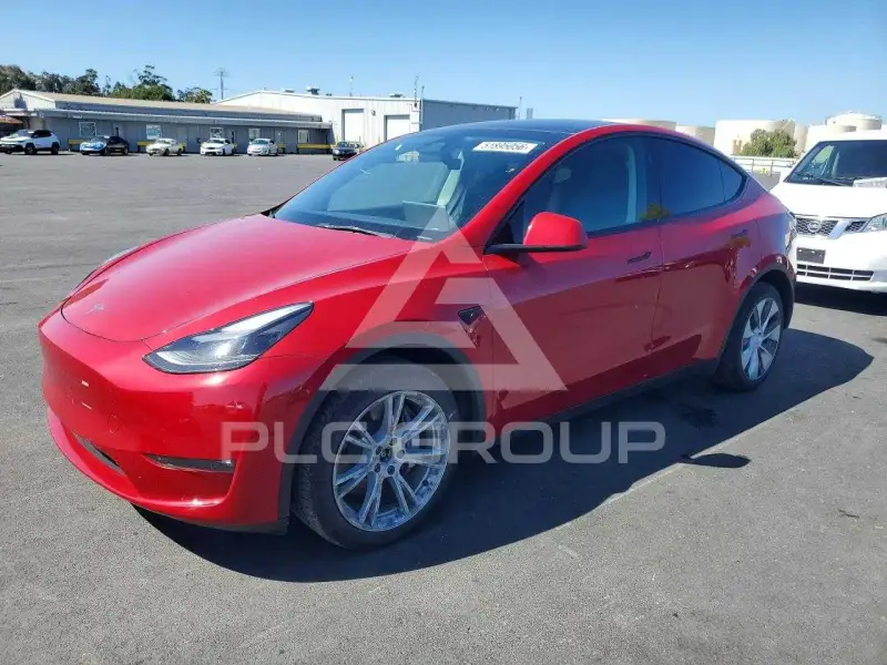 2023 Tesla Model Y photo
