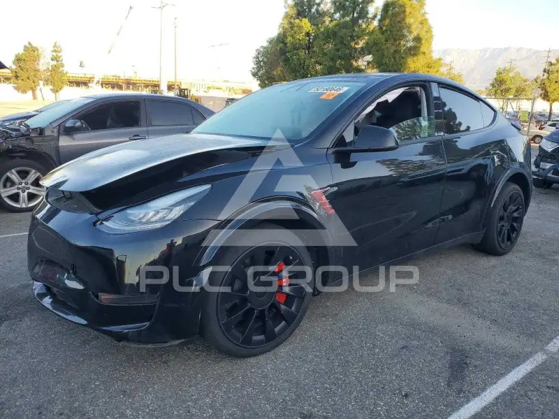 2023 Tesla Model Y photo