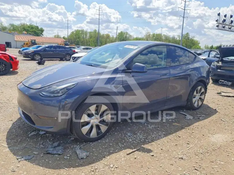 2023 Tesla Model Y фото