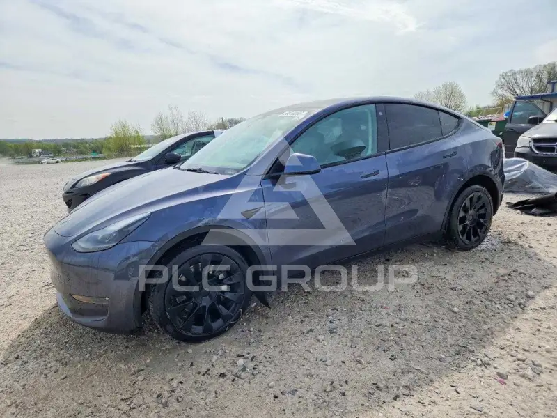 2023 Tesla Model Y фото