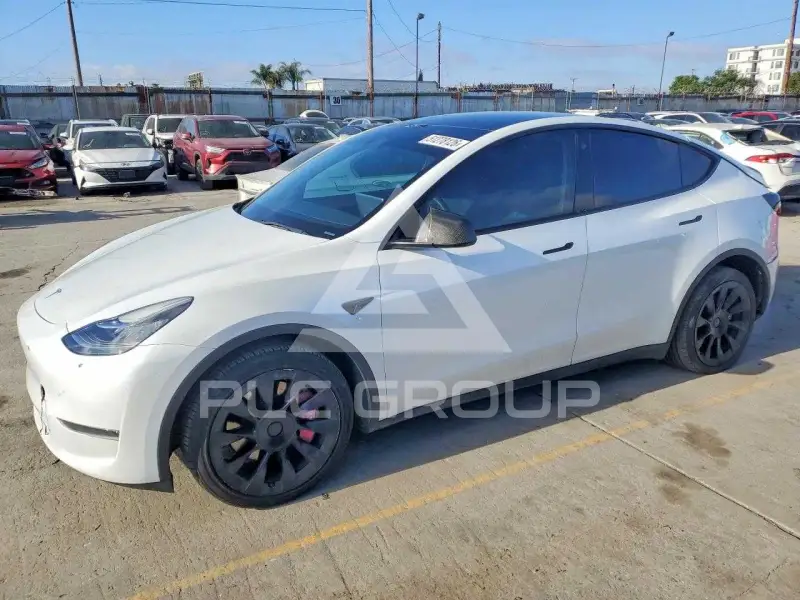 2023 Tesla Model Y фото
