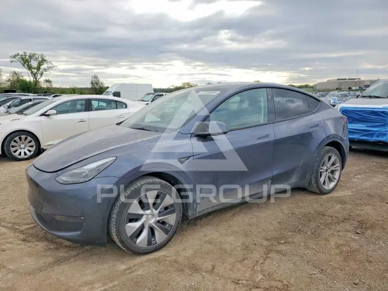 2023 Tesla Model Y photo