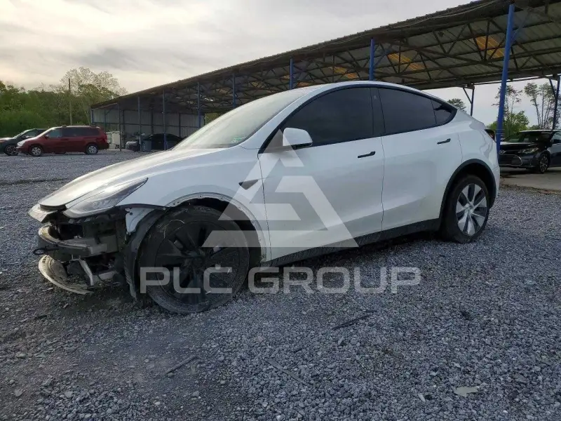 2023 Tesla Model Y фото