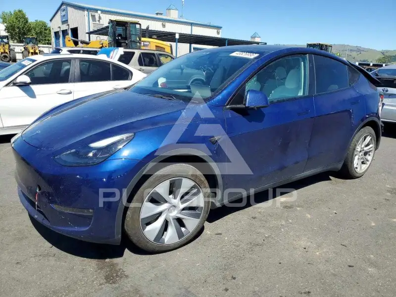 2023 Tesla Model Y фото