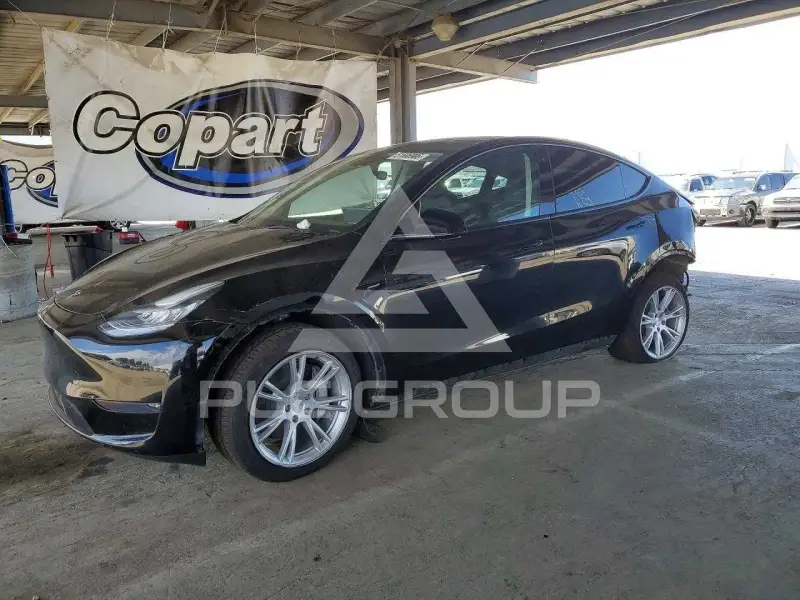2023 Tesla Model Y photo