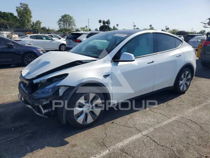 2023 Tesla Model Y фото