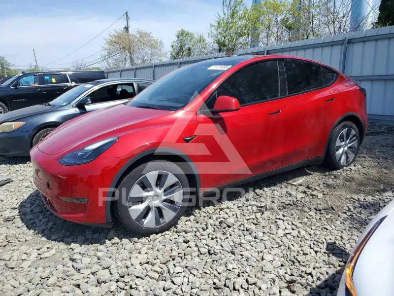 2023 Tesla Model Y фото