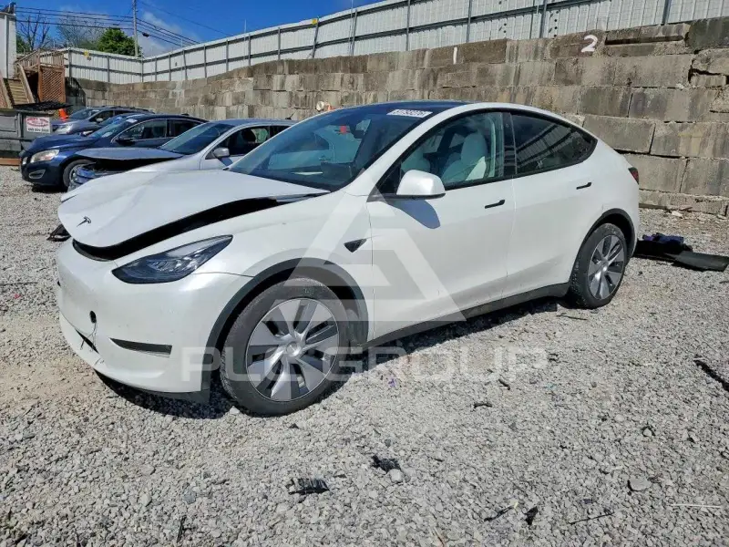 2023 Tesla Model Y фото