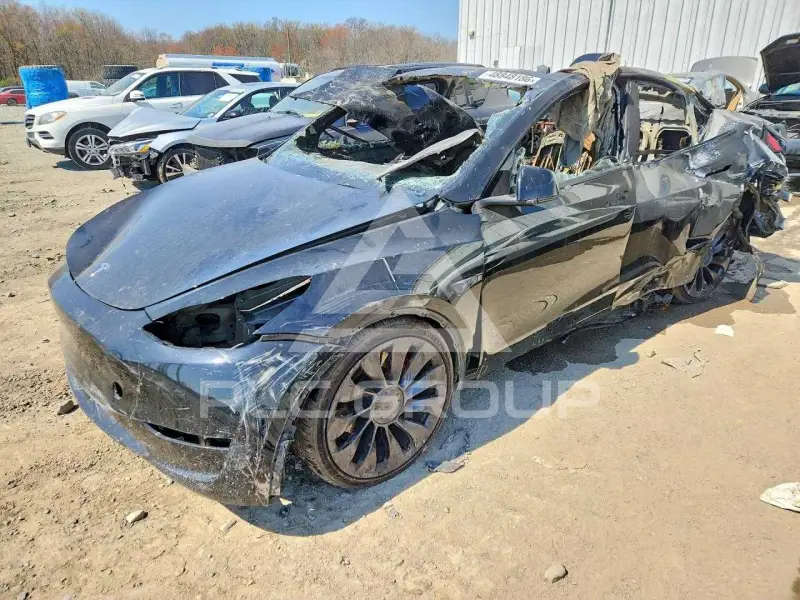 2023 Tesla Model Y фото