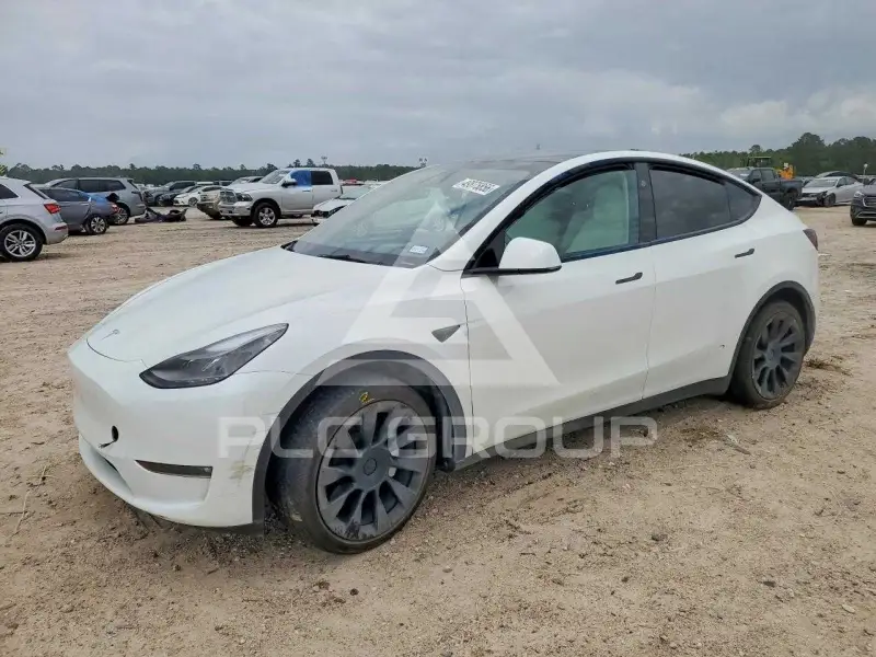 2023 Tesla Model Y photo