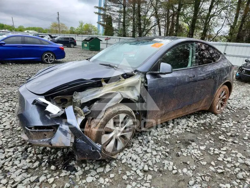 2023 Tesla Model Y фото