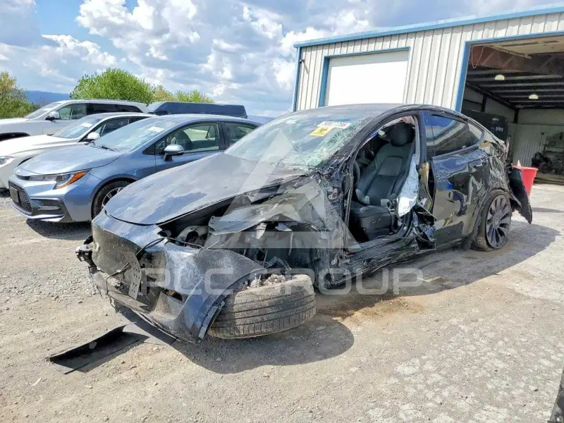 2023 Tesla Model Y фото