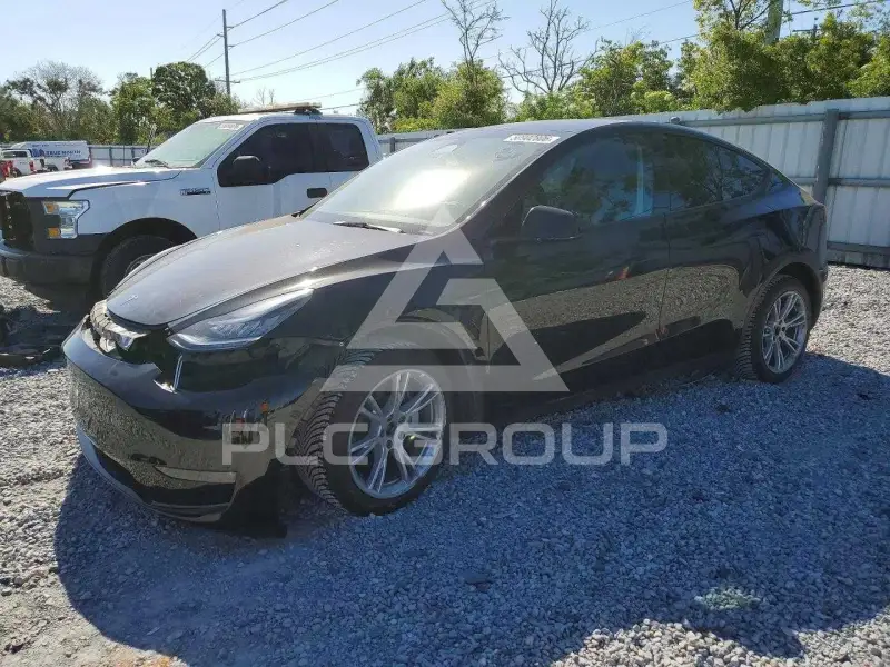 2023 Tesla Model Y photo