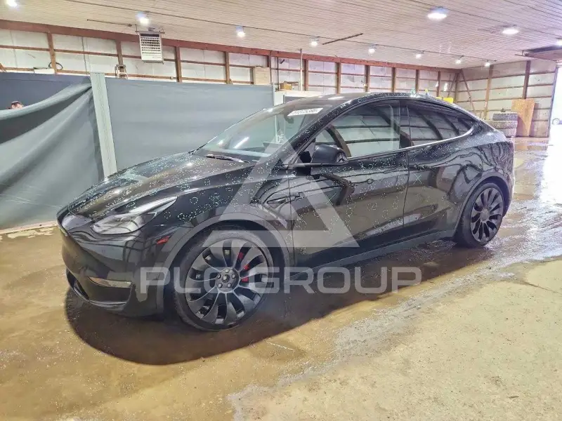 2023 Tesla Model Y фото