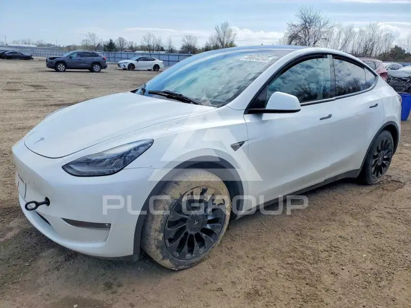 2023 Tesla  фото