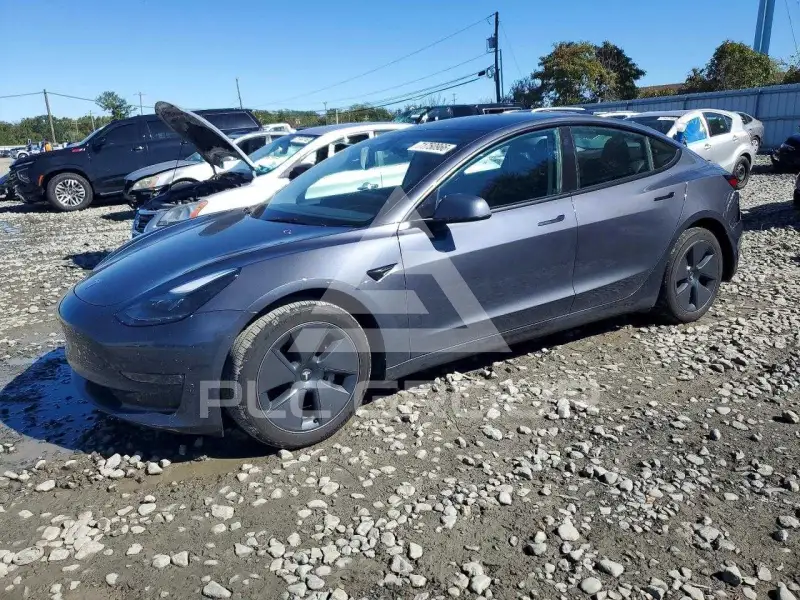 2023 Tesla Model 3 фото