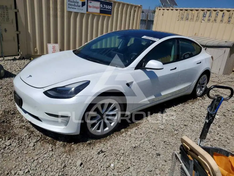 2023 Tesla Model 3 photo