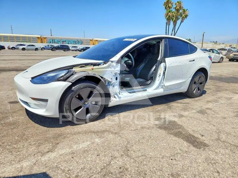 2023 Tesla Model 3 photo