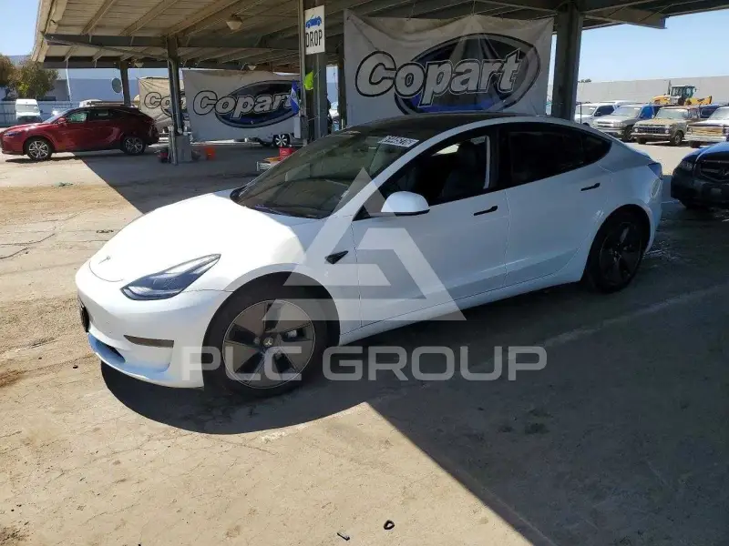 2023 Tesla Model 3 photo