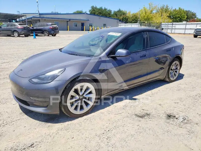 2023 Tesla Model 3 photo