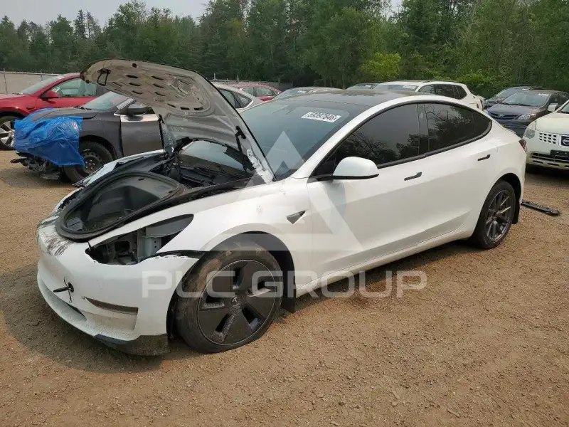 2023 Tesla Model 3 photo