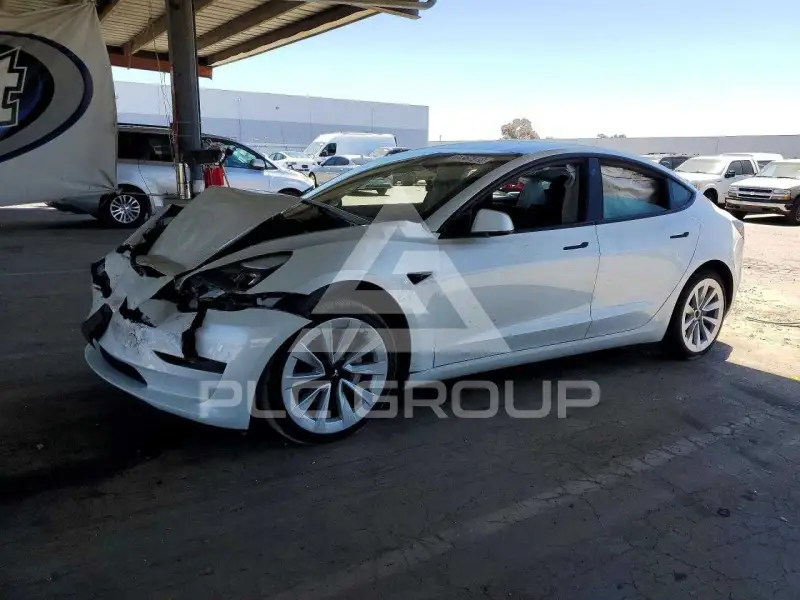 2023 Tesla Model 3 photo