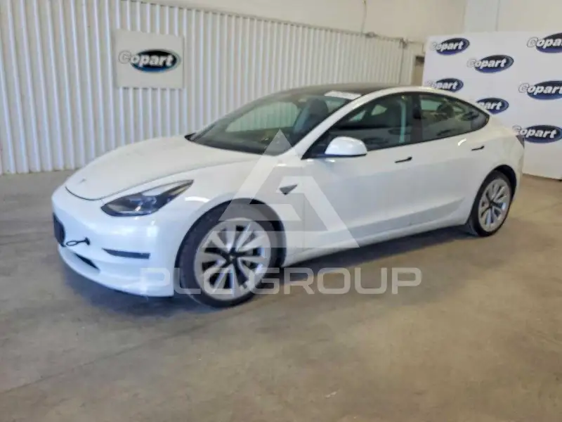 2023 Tesla Model 3 photo