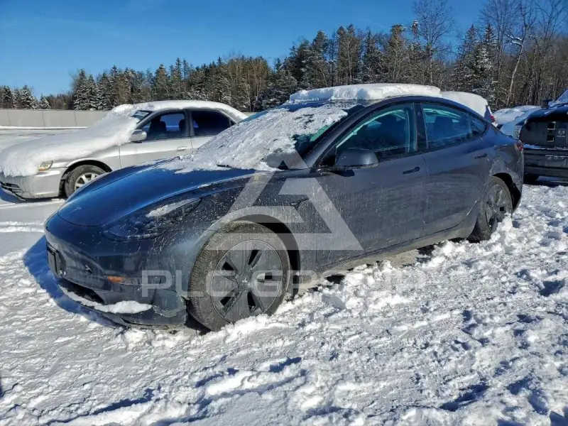 2023 Tesla Model 3 photo