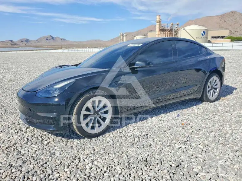2023 Tesla Model 3 фото