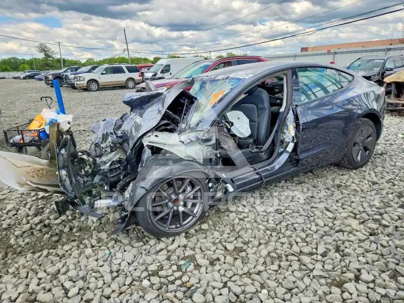 2023 Tesla Model 3 фото