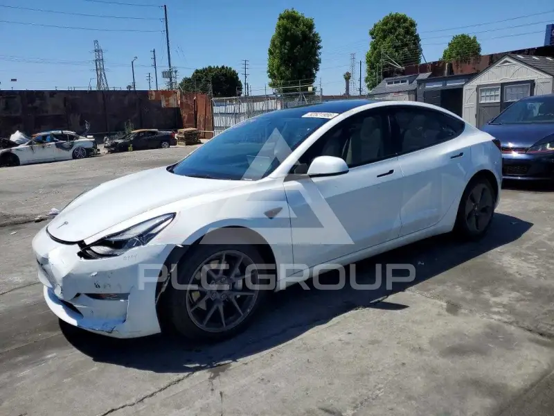 2023 Tesla Model 3 photo