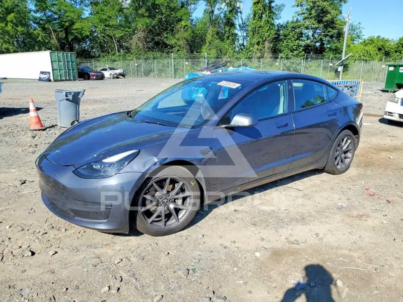 2023 Tesla Model 3 photo