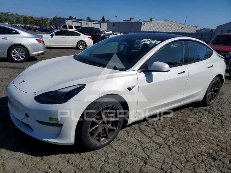 2023 Tesla Model 3 photo