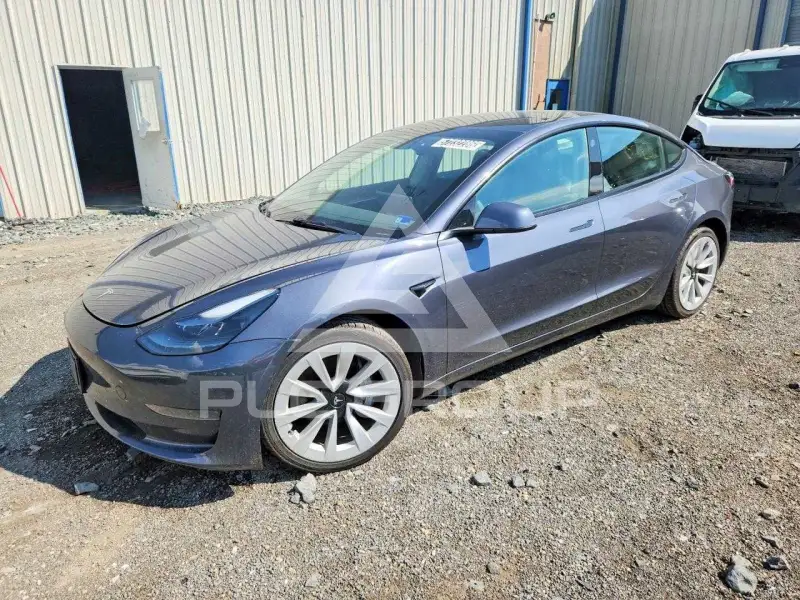 2023 Tesla Model 3 фото