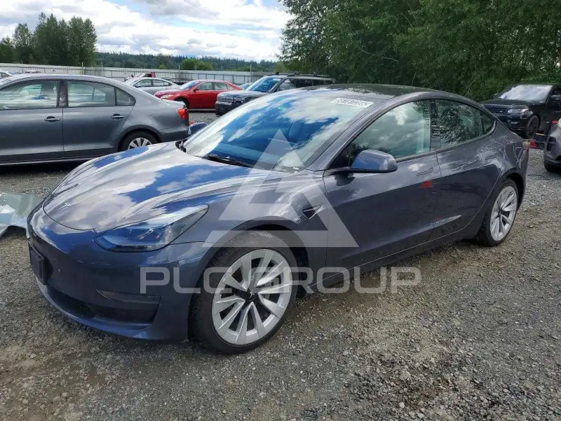 2023 Tesla Model 3 photo