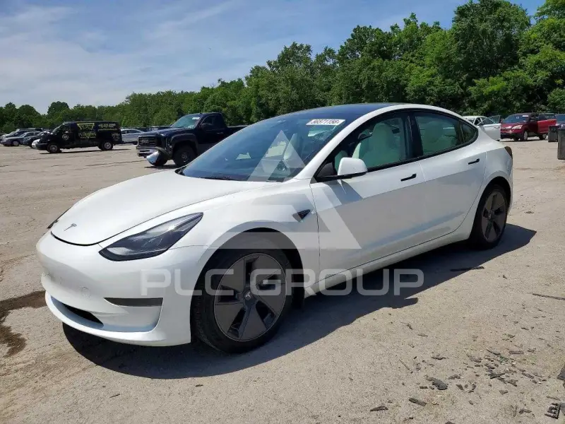 2023 Tesla Model 3 photo
